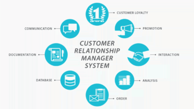 Photo of Введение в CRM: Customer Relationship Management